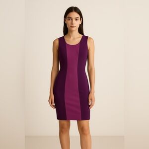 BCBG Maxazria Aliza Purple Colorblock Sleeveless Bodycon Dress Size XS